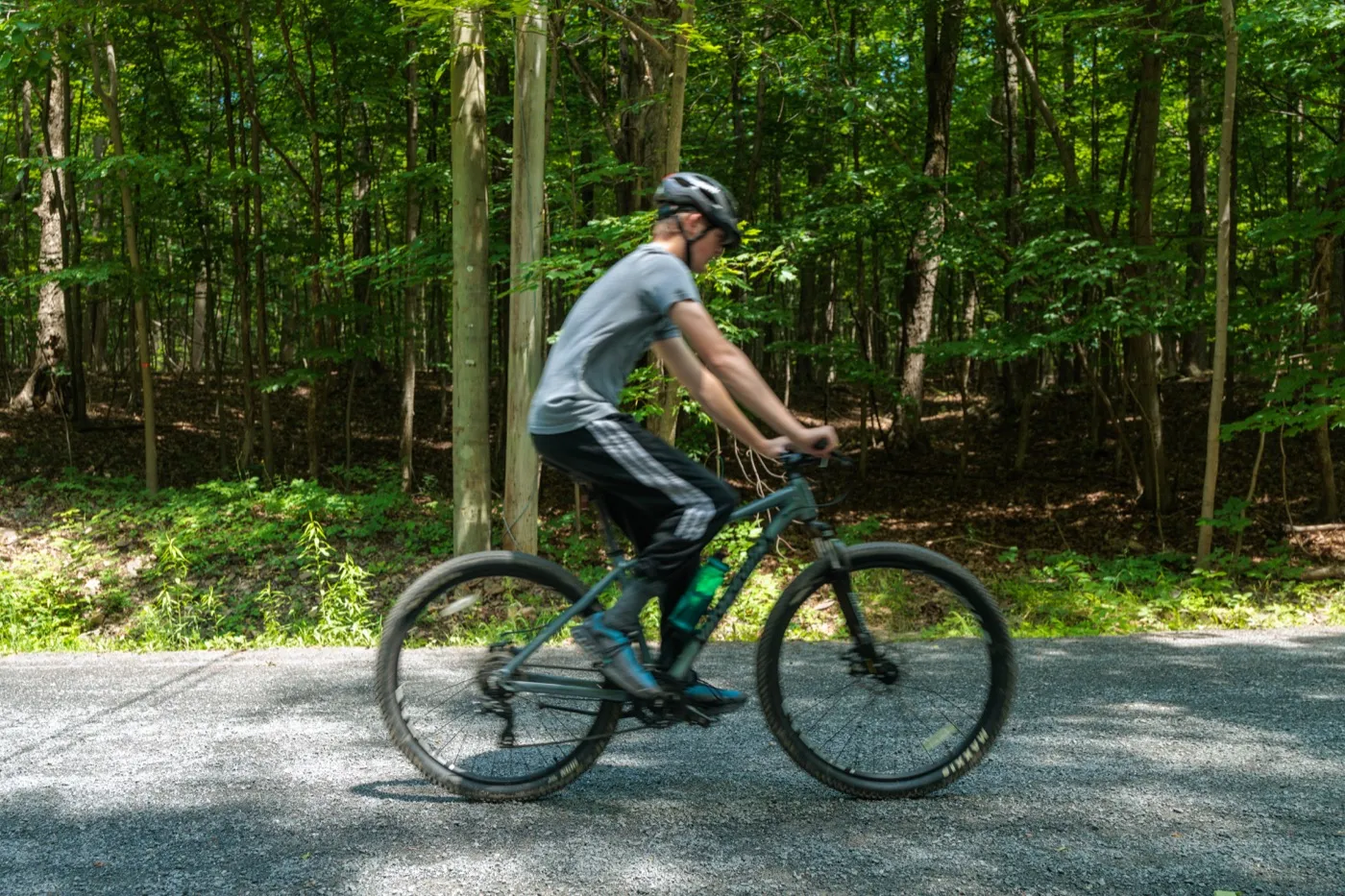 Cycliste sur un sentier en forêt